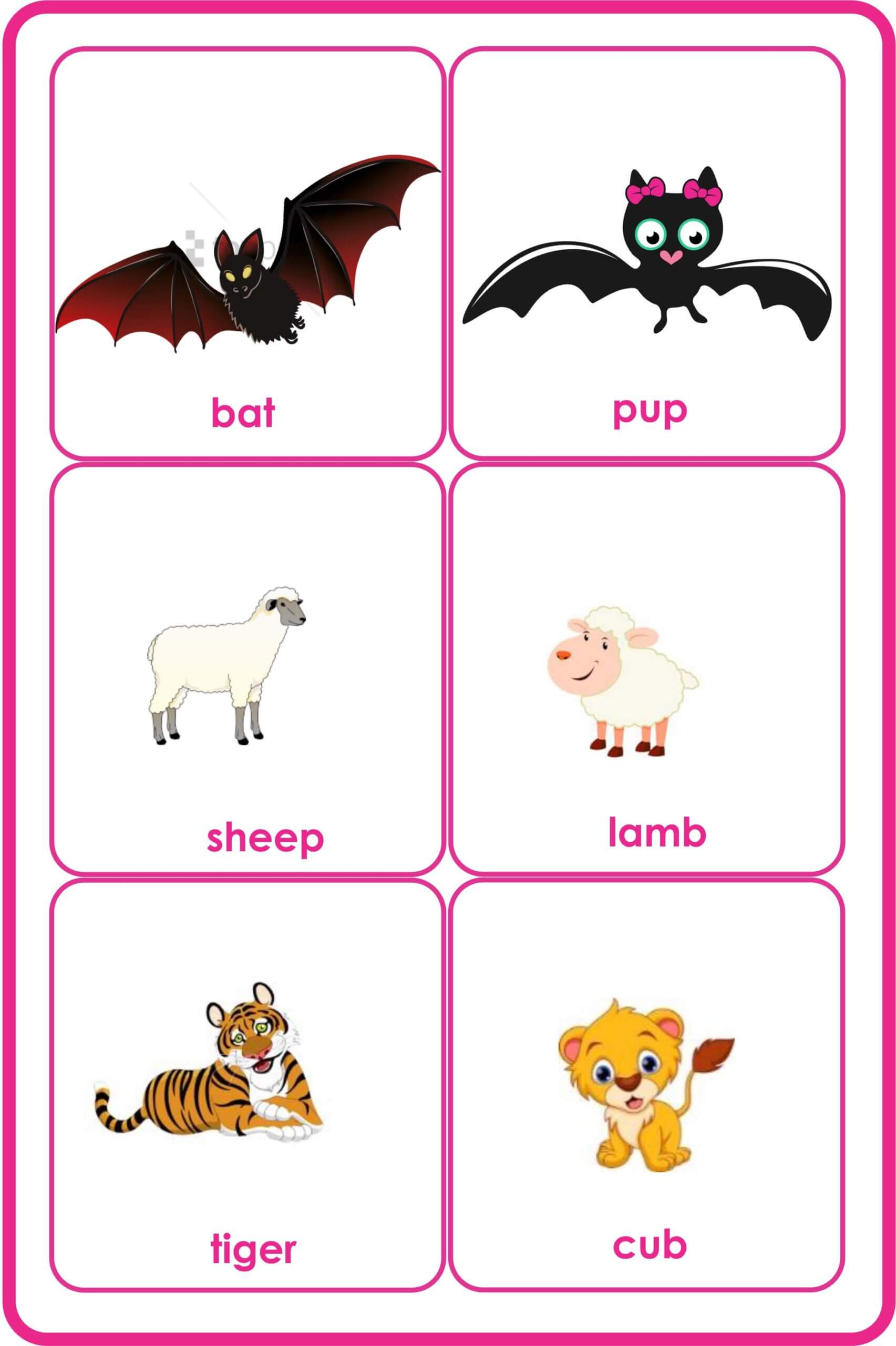 Animals Flashcards-animals And Their Sounds-their Babies-