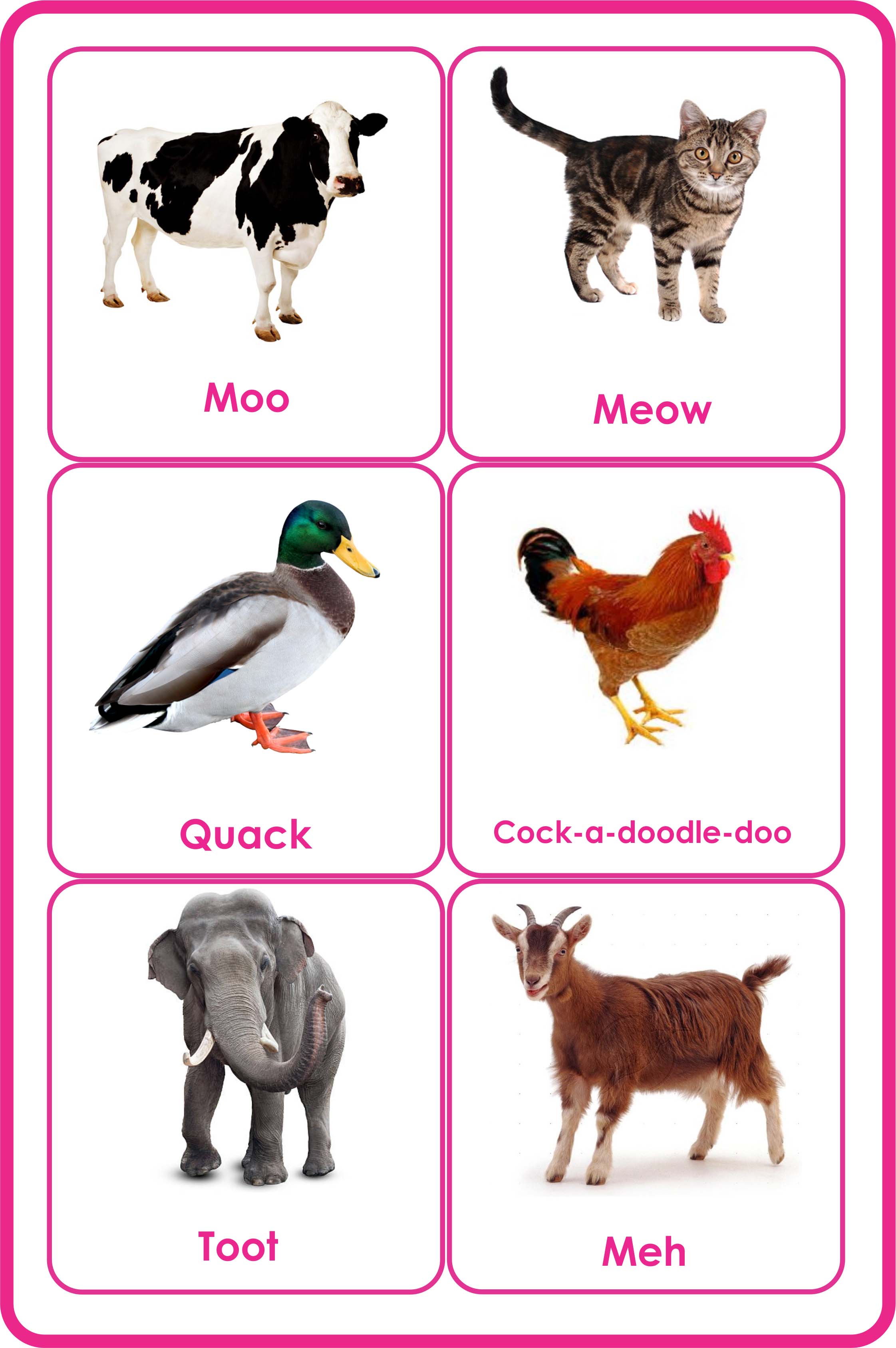 Animals Flashcards-animals And Their Sounds-their Babies-